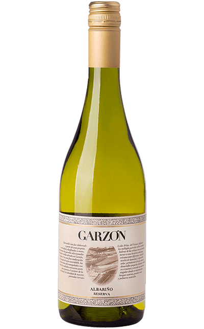 Vinho Garzon Reserva Albarino