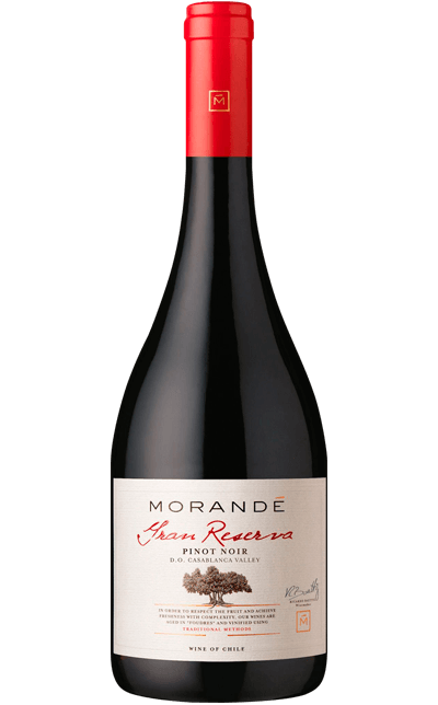 Vinho Morandé Gran Reserva Pinot Noir