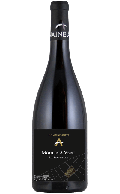 Vinho Moulin à Vent La Rochelle Domaine Anita