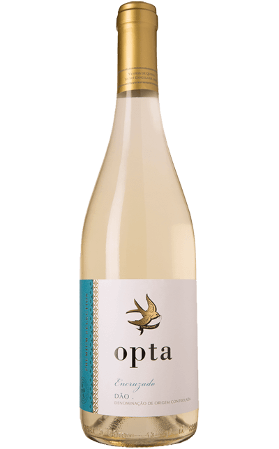 Vinho Opta Dão Encruzado