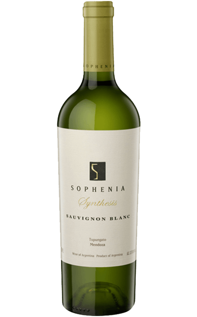 Vinho Synthesis Sauvignon Blanc