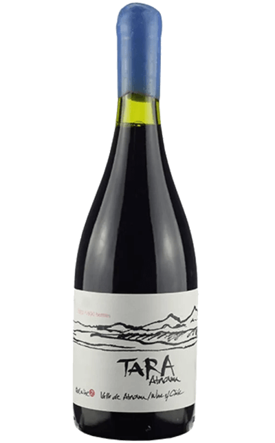 Vinho Tara Atacama Syrah