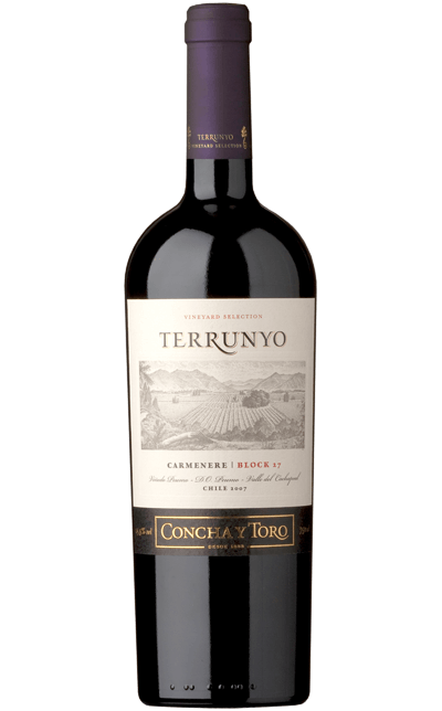 Vinho Terrunio Carmenere