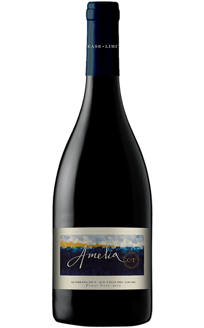 Vinho Amelia Pinot Noir 