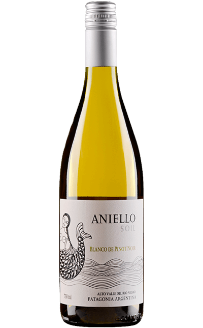 Vinho Aniello SOIL Blanco Pinot Noir