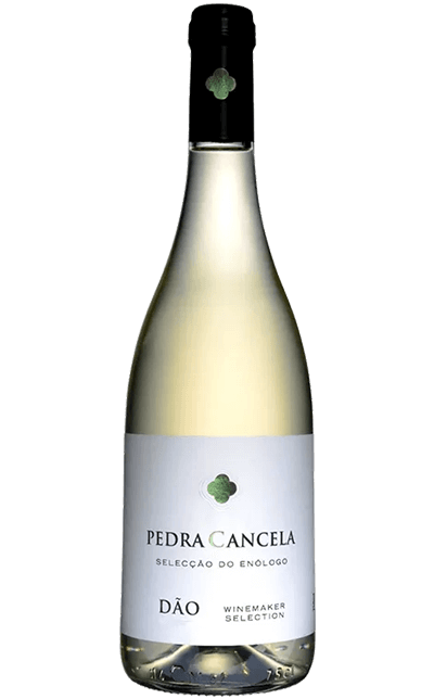 Vinho Pedra Cancela Seleção do Enólogo Branco