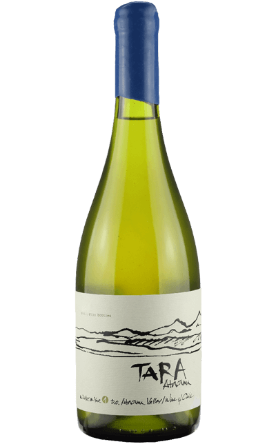 Vinho Tara Atacama White 1 Chardonnay