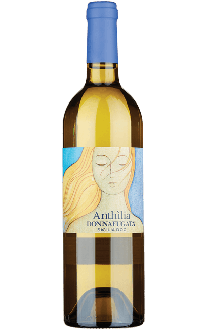 Vinho Anthilia DOP