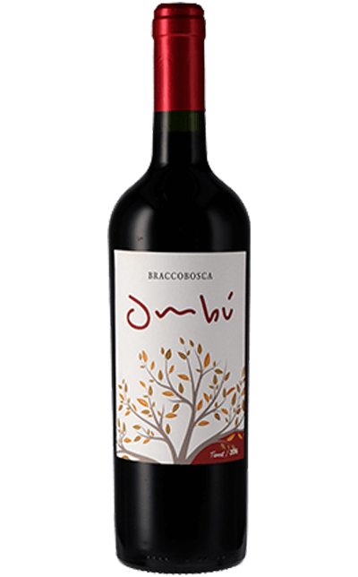 Vinho Braccobosca Ombu Tannat