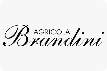 Brandini